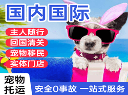 韶关空运公司国际宠物托运 【国